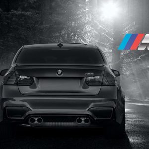 BMW F