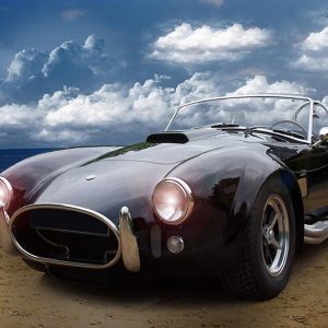 COBRA