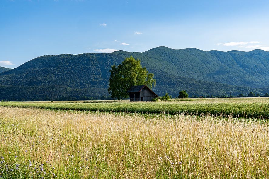 Polje - enodelna