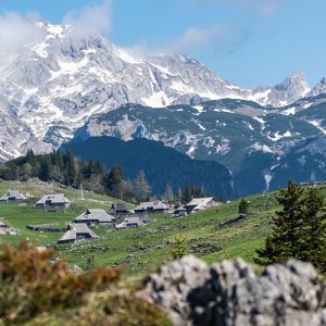 Velika planina - enodelna