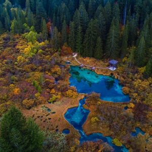 Zelenci - enodelna