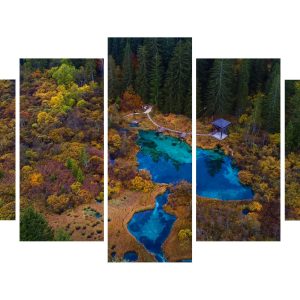 Zelenci - 5 delna